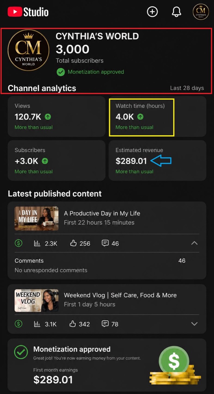 Exemplo de canal com monetizacao aprovada e dados de desempenho.